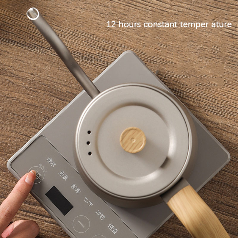 110v 220v Ketel theepot zwanen - Electric Kettle Gooseneck recensie en prijs