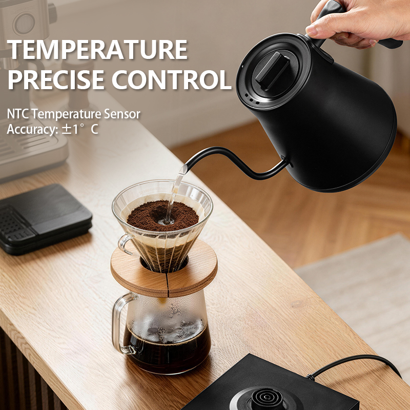 700ML Elektrische Zwanenhalske - Electric Kettle Gooseneck recensie en prijs