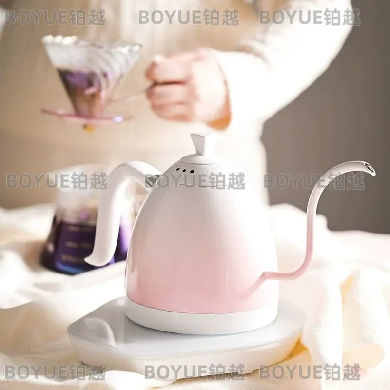 Roestvrijstalen zwanenhalskete - Electric Kettle Gooseneck recensie en prijs