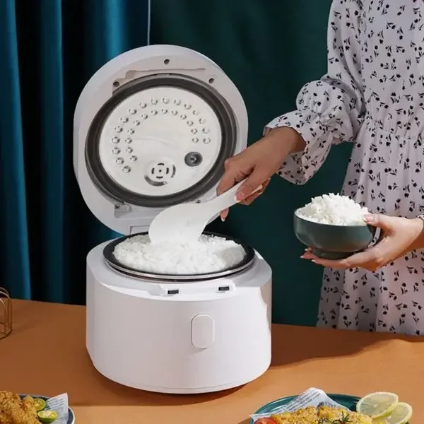 110v slimme rijstkoker 3L rijs - Kitchen Appliances Canada recensie en prijs