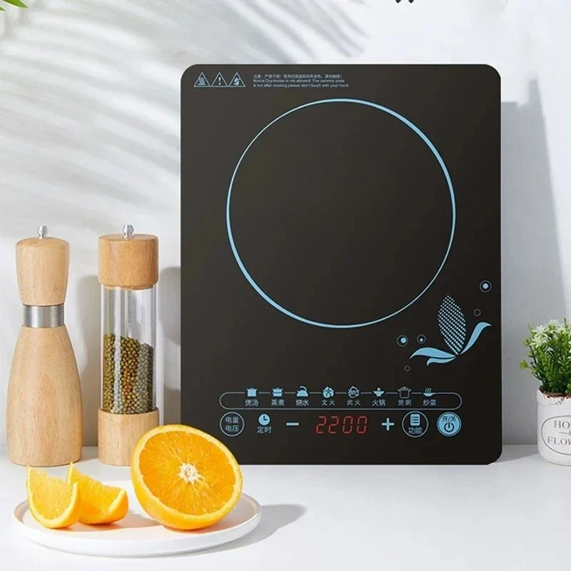 110V inductiekookplaat, kookpa - Kitchen Appliances In Japanese recensie en prijs