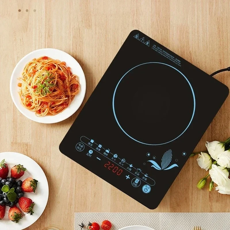110V inductiekookplaat, kookpa - Kitchen Appliances In Japanese recensie en prijs